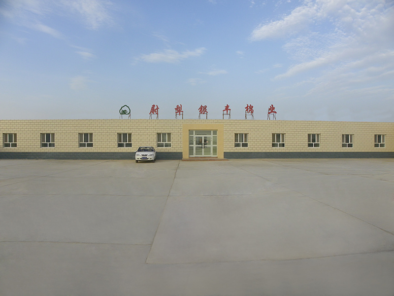 尉犁銀豐棉業有限公司