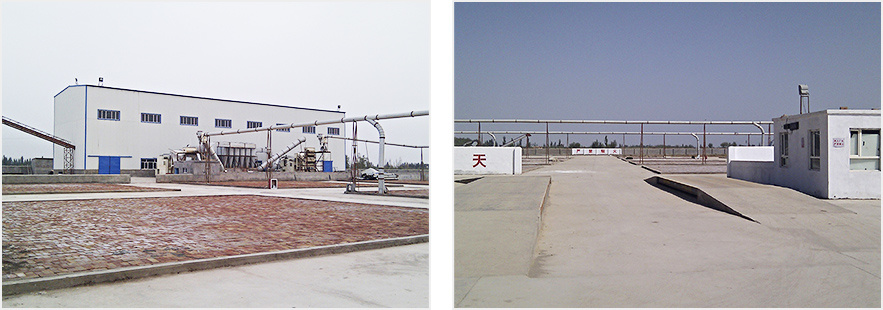 伽師縣中加棉業有限公司