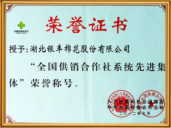 全國供銷合作社系統先進集體 