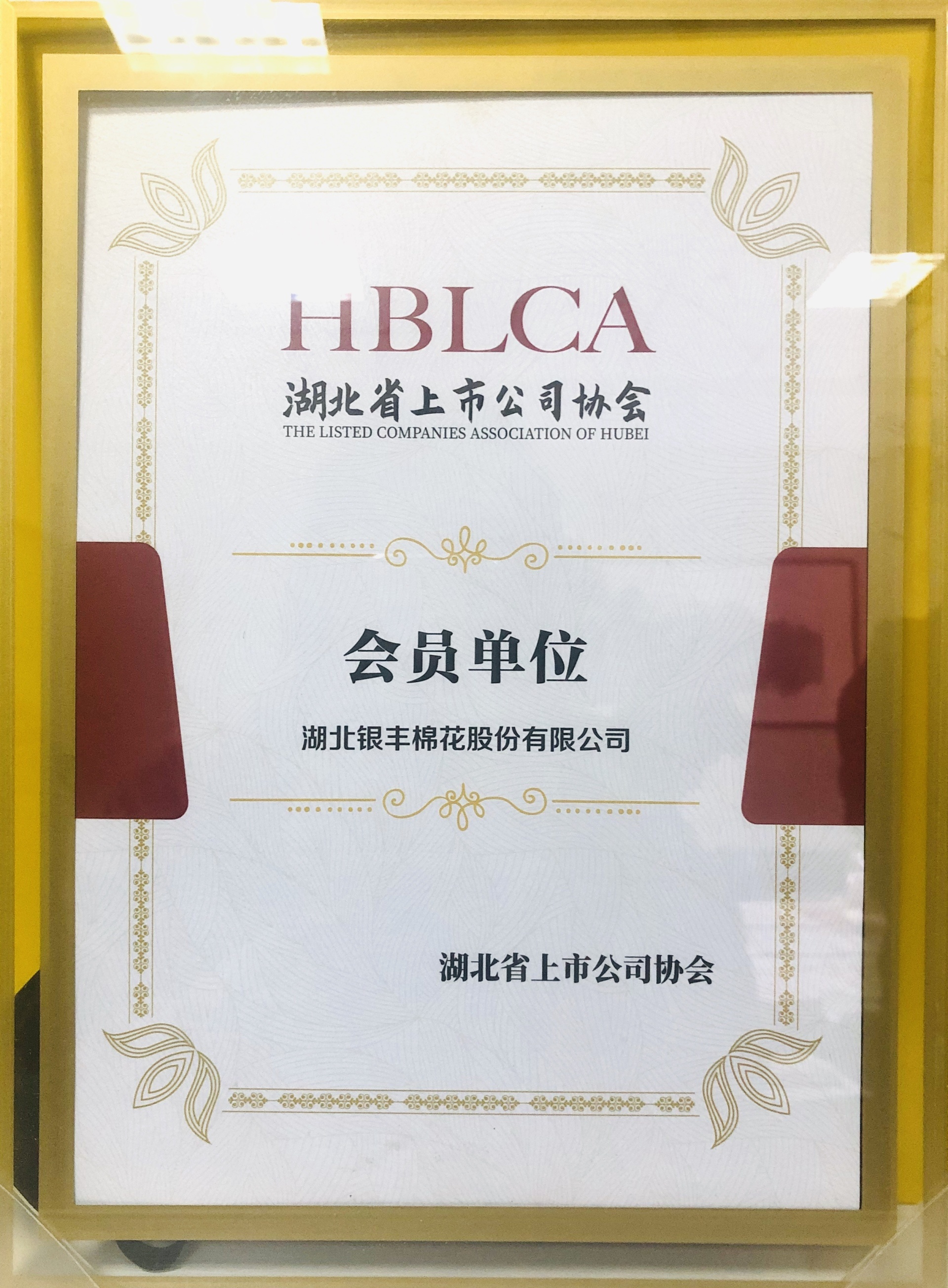 湖北省上市公司協會會員單位