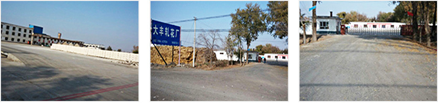 呼圖壁大豐有限公司