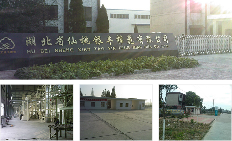 湖北省仙桃銀豐棉花有限公司